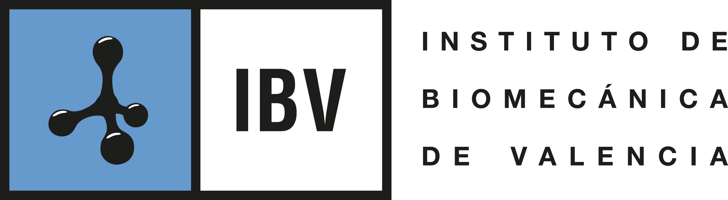 Instituto de Biomecánica IBV